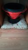 IMG-20180913-WA0014.jpg IMG-20180913-WA0014.jpg