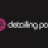 detailingpoint